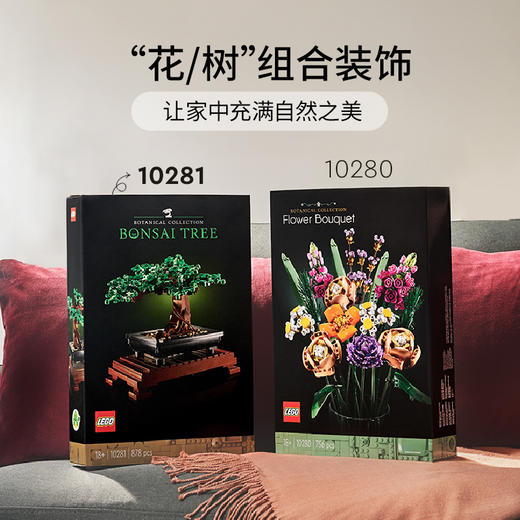 乐高LEGO 盆景10281 商品图4