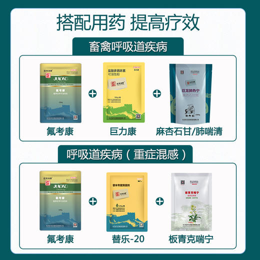 【氟考康】巨龙动保 30%氟苯尼考可溶性粉兽药禽药兽用药100/500g 商品图4