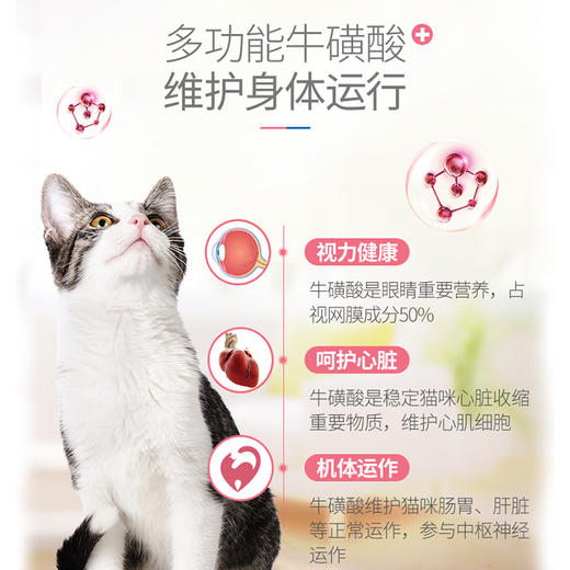 麦德氏猫咪牛磺酸片/维生素片120片 商品图2