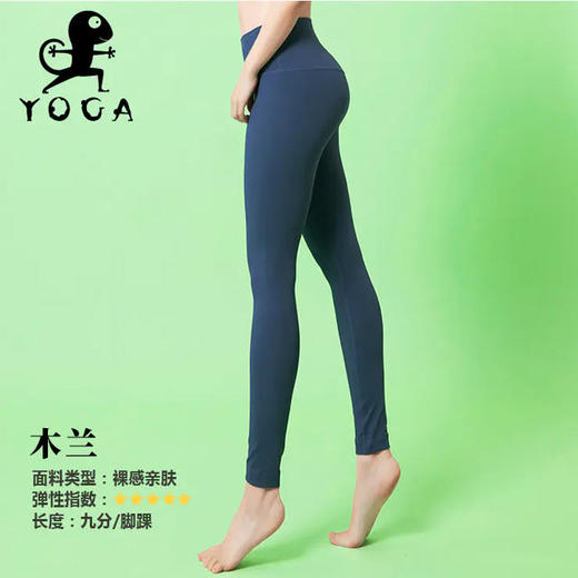 【现货秒发】壁虎瑜伽2020【木兰-裤子】春夏瑜伽美腿九分裤 商品图0
