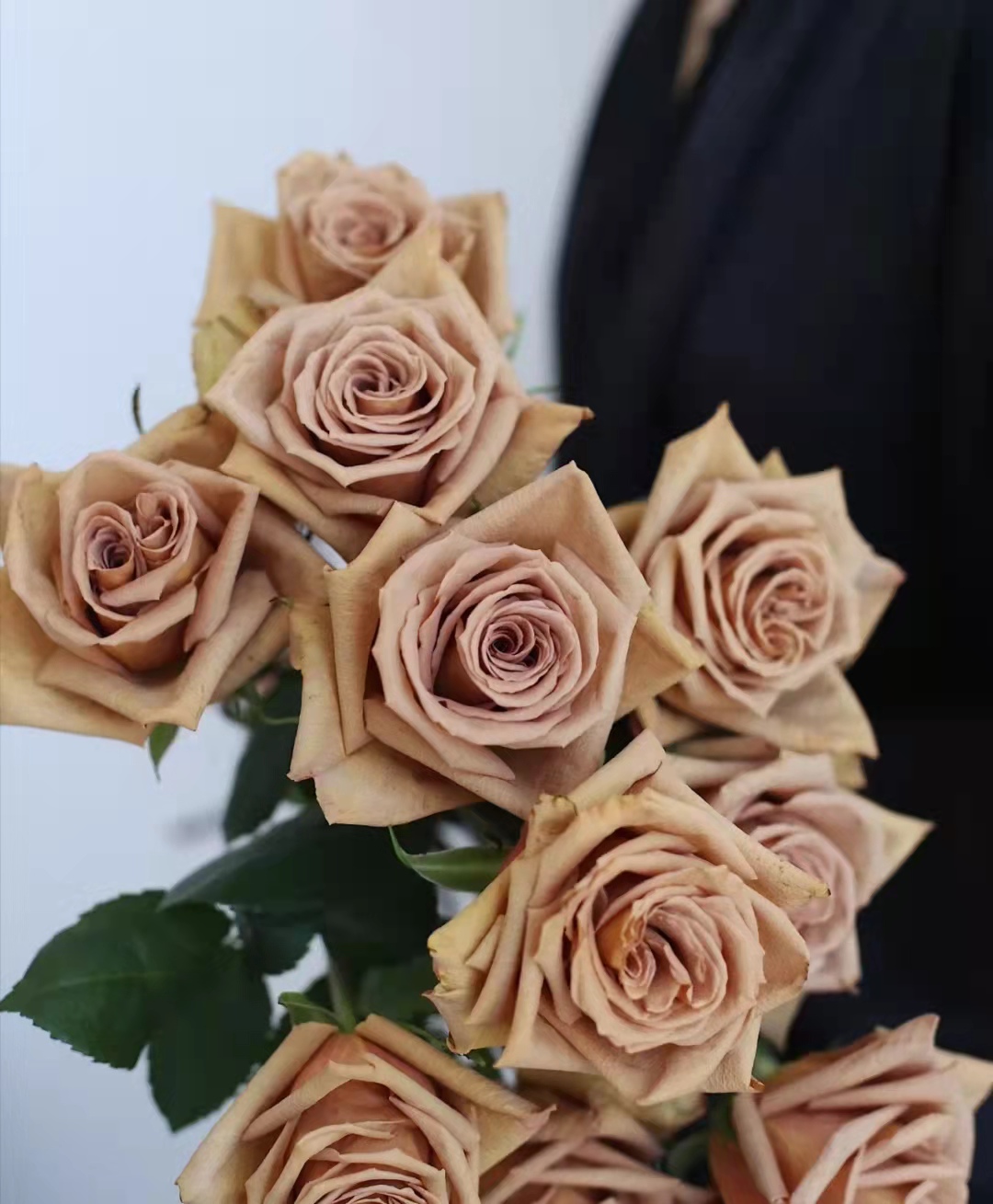 【昆明发货】逸禾玫瑰 太妃糖玫瑰(9-10枝),长度60cm-70cm