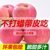 【果】俺爱山东100苹果 2个约600g 商品缩略图1