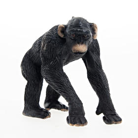 思乐  黑猩猩爸爸  SCHC14678