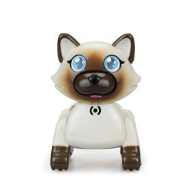 银辉知趣伯曼猫885030CD00101