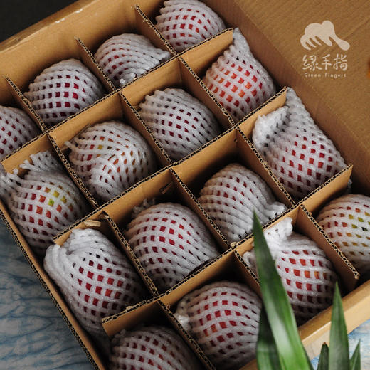 生态红星苹果 | 合作生产 *Eco- apple | Coproduction 商品图3