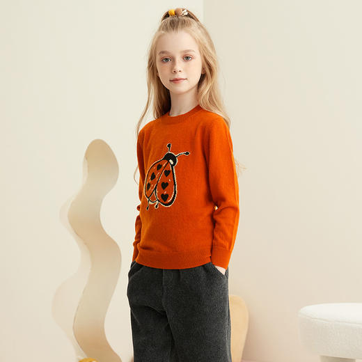 【瓢虫纯羊绒套衫】羊绒世家童装100%山羊绒瓢虫织花圆领套头针织毛衣 商品图2