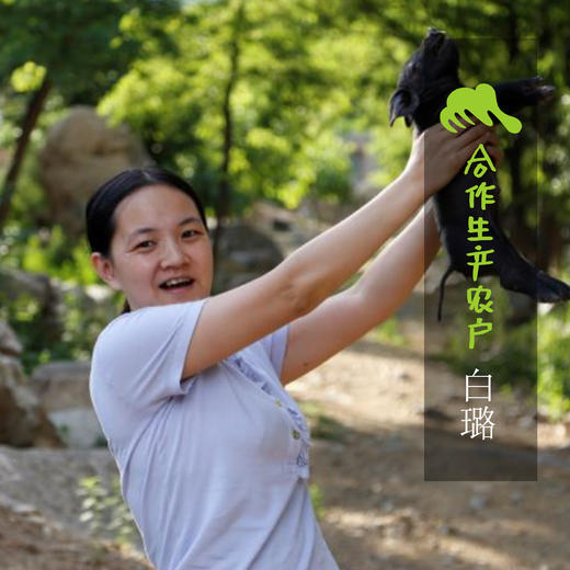 生态猪骨| 合作生产*Eco-pig bone  | Coproduction 商品图1