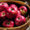 生态红星苹果 | 合作生产 *Eco- apple | Coproduction 商品缩略图0