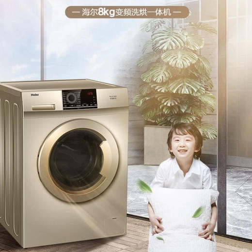 海尔（Haier）洗衣机EG80HB109G 商品图1