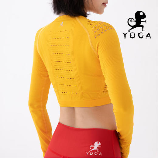 【现货秒发】2020国庆款【金秋】短款镂空高弹长袖T恤（无胸垫） 商品图4