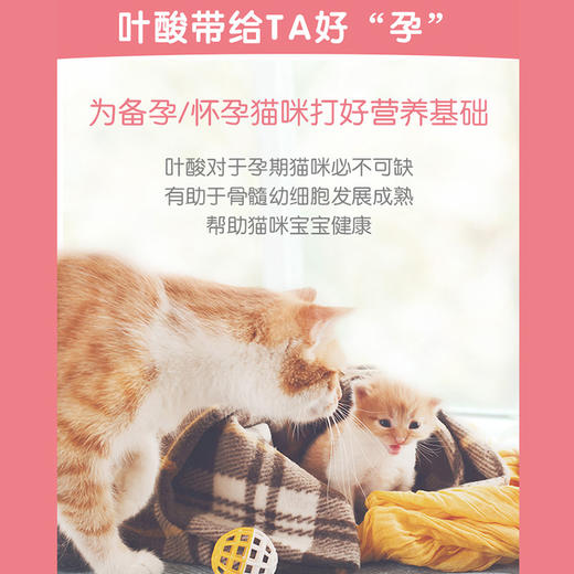 麦德氏猫咪牛磺酸片/维生素片120片 商品图6