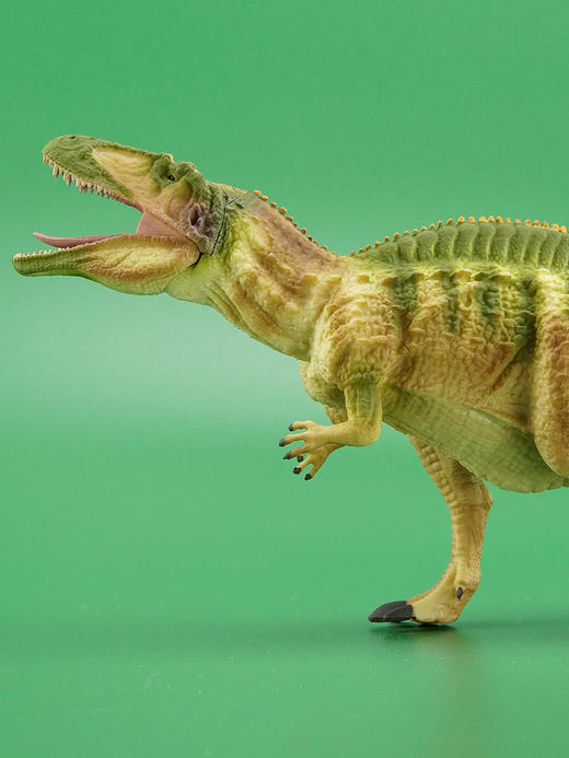 玩具Collecta我你他侏罗纪系列1：40高棘龙88718 商品图4
