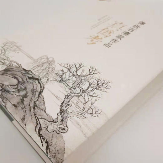 《传世石涛款作品真伪考》朱良志著（精装签名本）（1069页） 商品图1