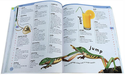 DK第1本儿童英语词典 英文原版 First Children's Dictionary 儿童英英图解字典 少儿英语单词记忆提升学习进阶工具书 英文版 商品图1