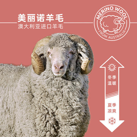 赛乐zealwood美丽诺羊毛长袖T恤男女保暖透气舒适羊毛内衣速干T恤 商品图1