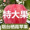 【果】俺爱山东100苹果 2个约600g 商品缩略图0