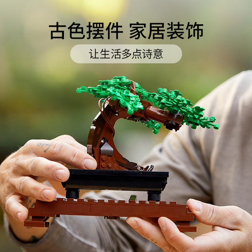 乐高LEGO 盆景10281 商品图1