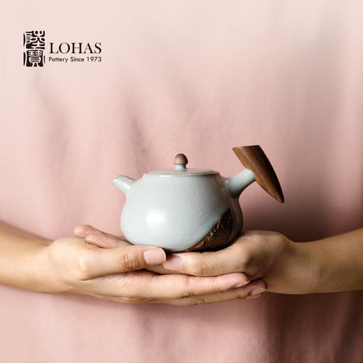 陆宝汝窑入木三分茶组茶礼开片养壶茶具整套一壶六杯送礼收藏 商品图6