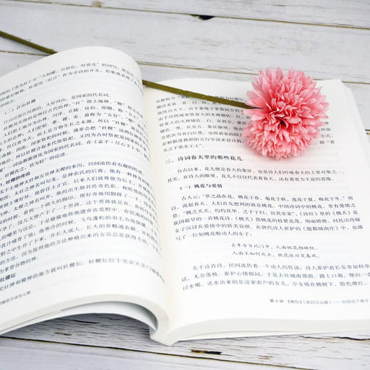 统编版古诗怎么教 写给小学语文老师 大夏书系  朱永新作序推荐 教学设计 统编版小学语文教学参考 古诗鉴赏 商品图3