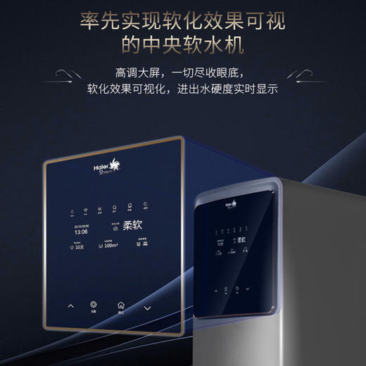 海尔（Haier）中央软水机HSW-WS9 商品图3