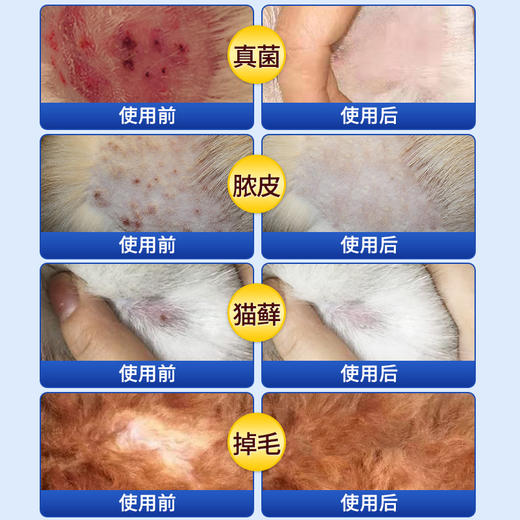 恩倍多猫藓外用药真菌猫癣药膏宠物专用 商品图3