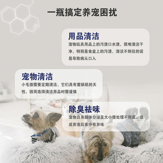 它净猫咪狗狗次氧酸高机能离子水除臭除jun除味清洁喷雾500ml 商品图7