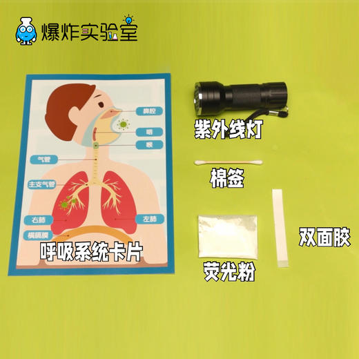 呼吸系统材料包 商品图3