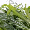 【蔬】新鲜芝麻菜 约150g/盒 商品缩略图1