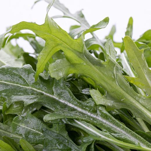 【蔬】新鲜芝麻菜 约150g/盒 商品图1