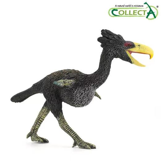玩具Collecta我你他仿真史前动物1：20恐鸟88465 商品图1