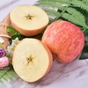 【果】俺爱山东100苹果 2个约600g 商品缩略图3