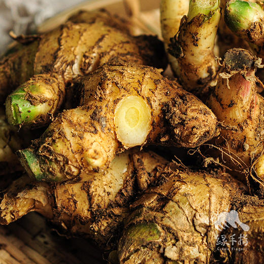 有机仔姜 | 绿家自产*Organic Tender Ginger| Self-production 商品图1