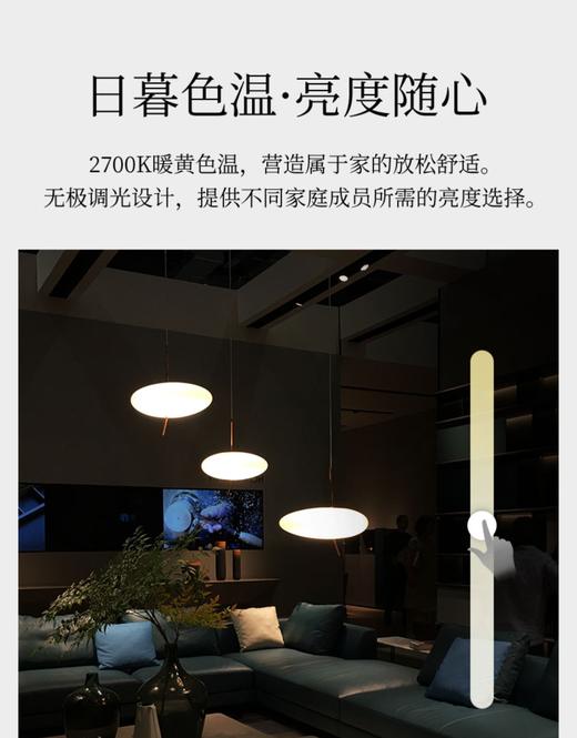 LEEDARSON 吊灯 抱朴·怀素（3头） 商品图4