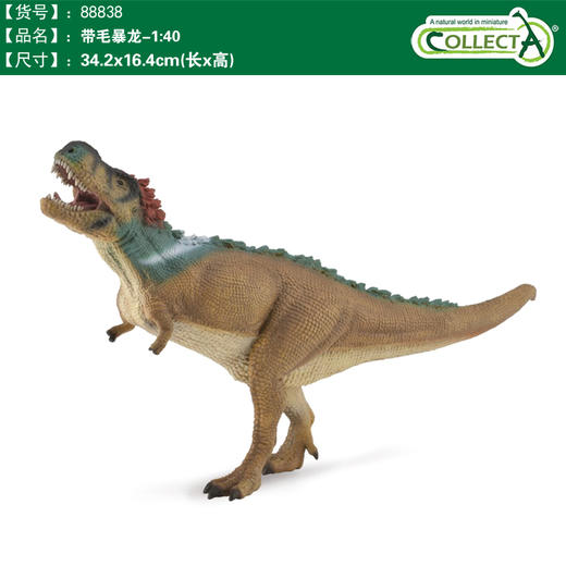 玩具Collecta我你他侏罗纪系列1：40带毛暴龙88838 商品图0