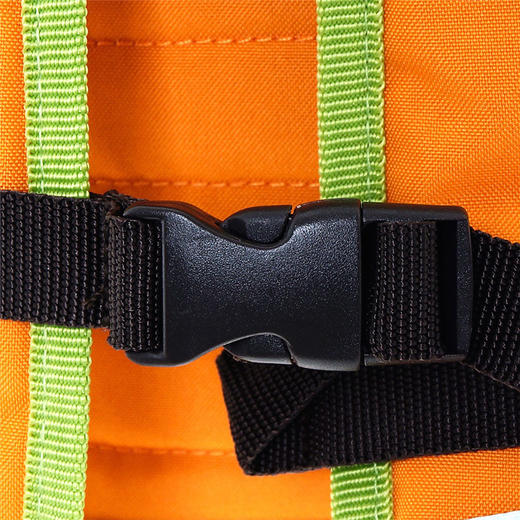 LASSIGLASSIG儿童MINI双肩包-老虎LMBP189 商品图4