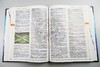 韦氏初级儿童基础词典 英文原版字典 Merriam-Webster's Elementary Dictionary 英文版 进口原版英语学习工具书 商品缩略图1