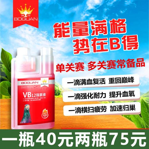 【VB12强豪液】500ml鸽子比赛提速、排乳酸、补充体能（搏冠） 商品图0