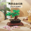 乐高LEGO 盆景10281 商品缩略图2