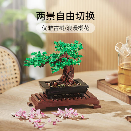 乐高LEGO 盆景10281 商品图2