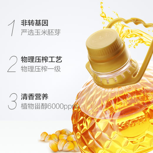 长寿花玉米油4.68L*4桶整箱非转基因家用烘焙食用油 商品图3