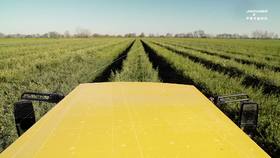 无规格实物商品