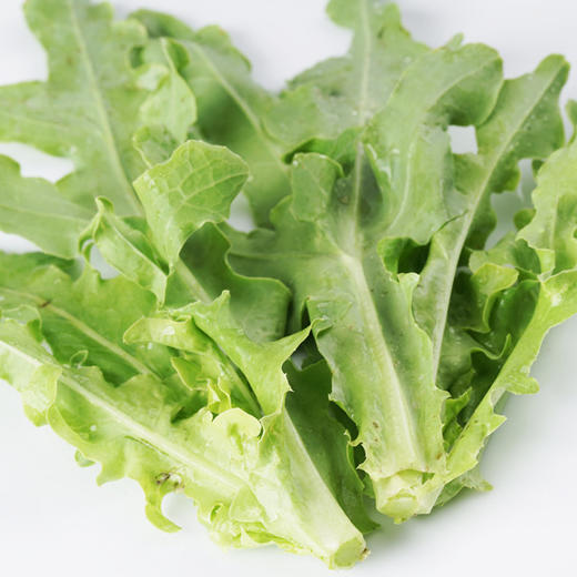 懒人蔬菜包(10种菜) 商品图1