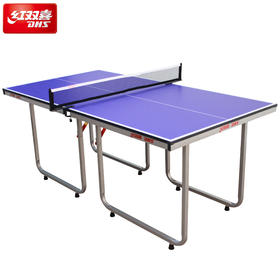 红双喜DHS T919 乒乓球桌 儿童迷你型小号家用室内小型乒乓球台 可折叠式