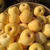 [最农公社]烟台黄金奶油富士苹果5斤9斤来自核心产区 商品缩略图8