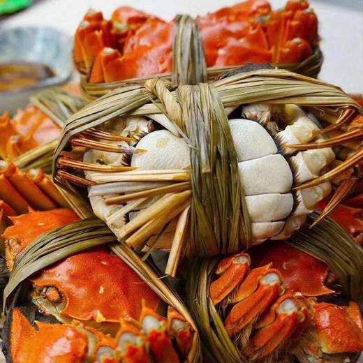 【吃蟹季】（去年爆款）固城湖大闸蟹（一半公蟹一半母蟹） 商品图3