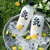 元气森林系列苏打气泡水480ml 商品缩略图2