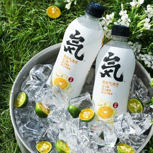 元气森林系列苏打气泡水480ml 商品图2