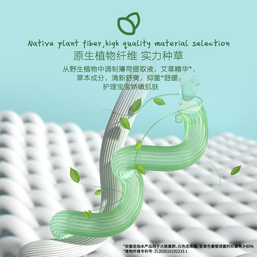 BEABA碧芭 冰淇淋系列【新款】 商品图1