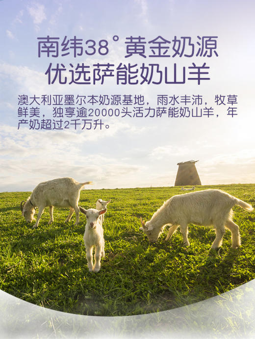 HNMG 澳洲Bubs贝儿婴幼儿配方羊奶粉2段800g 商品图2