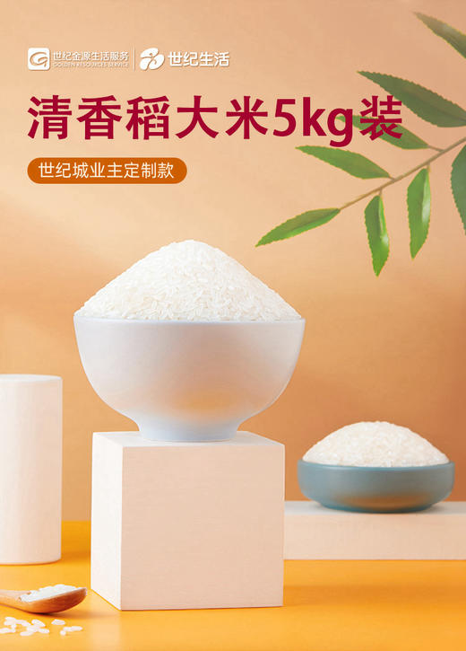 星火清香稻大米 5kg/袋 【GA】 商品图2